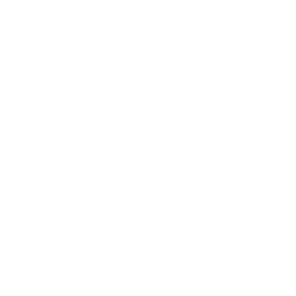 Rhoncus Sollicitudin