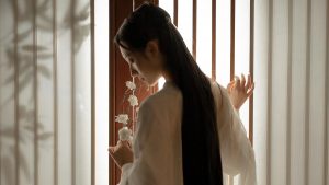 风月皆如故，唯念君如故插图6